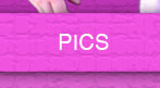 Pics button